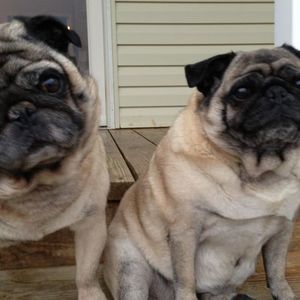 Meet your Posher, Becky